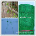 Tomato Trellis Netting ( UV stabilized )